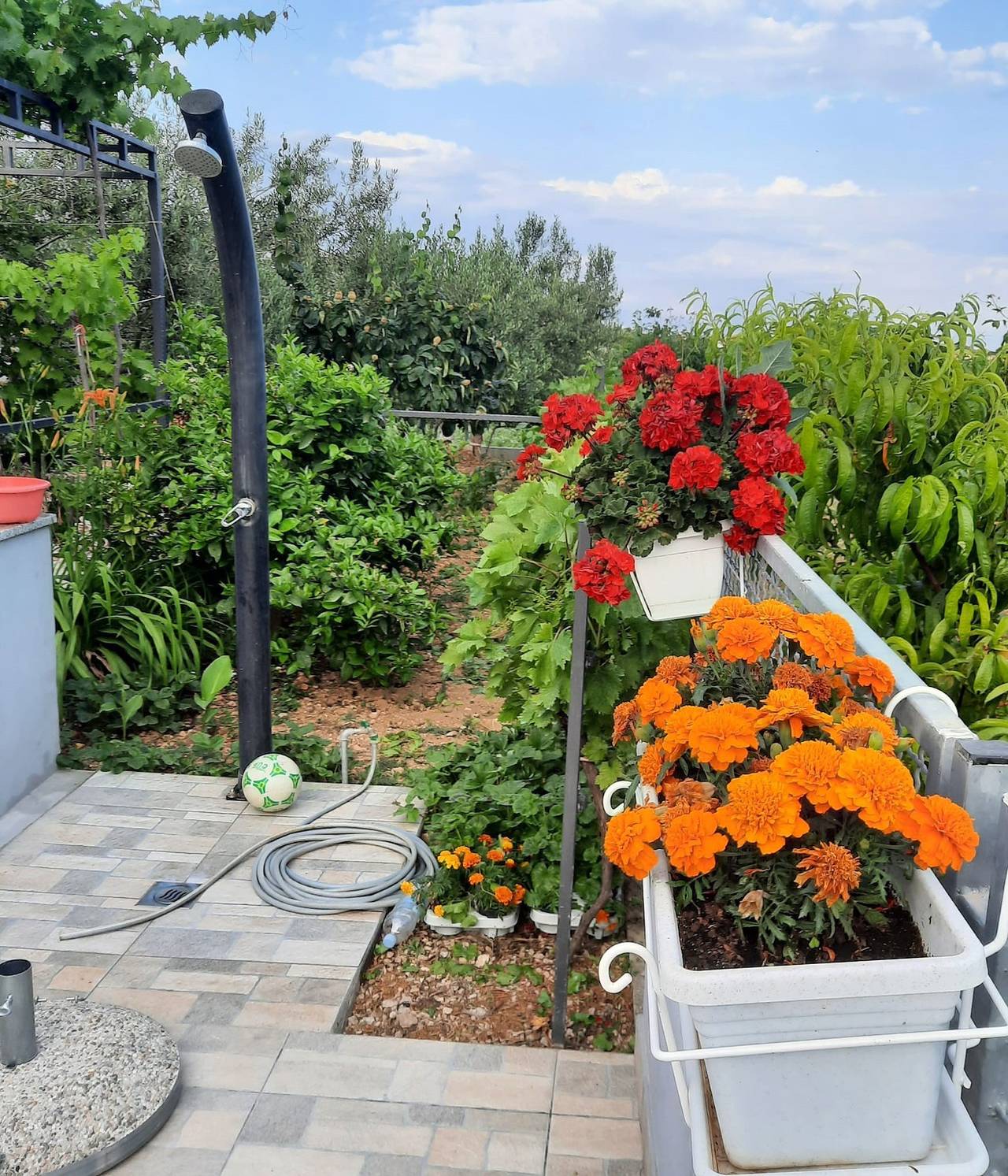 Ganze Wohnung, Studio Appartement mit Terrasse Seget Donji, Trogir As-23533-a in Trogir, Split-Dalmatien