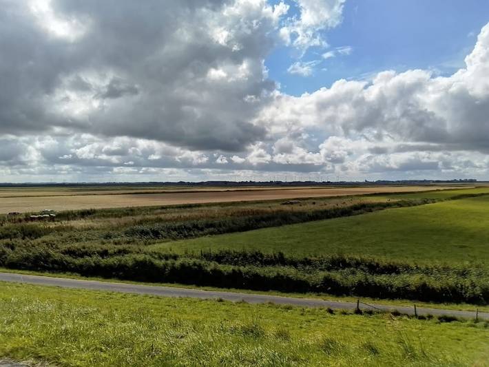 Ferienhaus für 6 Personen, mit Terrasse und Garten, mit Haustier in Altes Land Stade - 3
