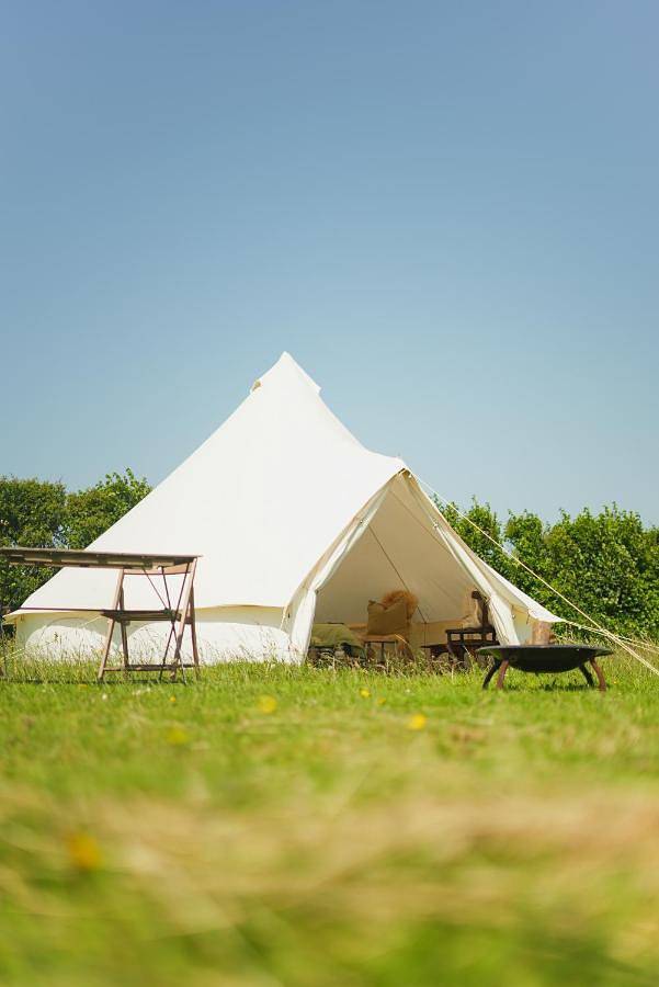 Tent in Marlborough (South Devon), Devon