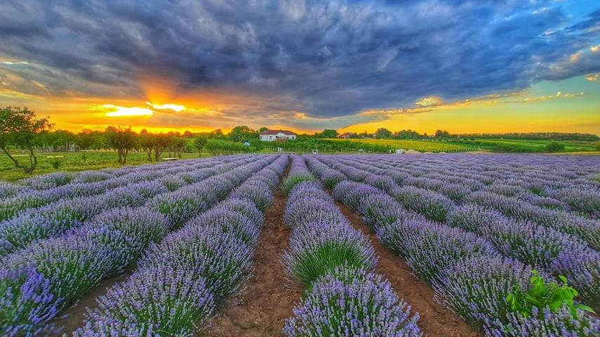 Gîte pour 4 personnes, avec jardin et vue dans Giurgiu - 2