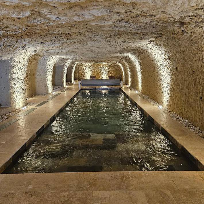 Location de vacances pour 12 personnes, avec terrasse et piscine, animaux acceptés à Rochecorbon