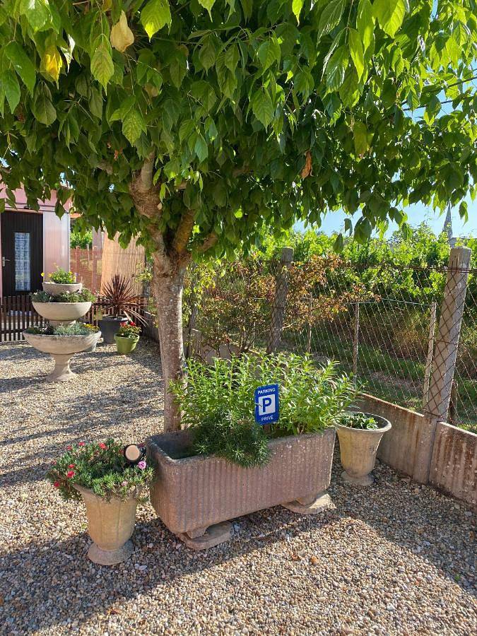 Gîte pour 2 personnes, avec terrasse et vue à Périssac - 3