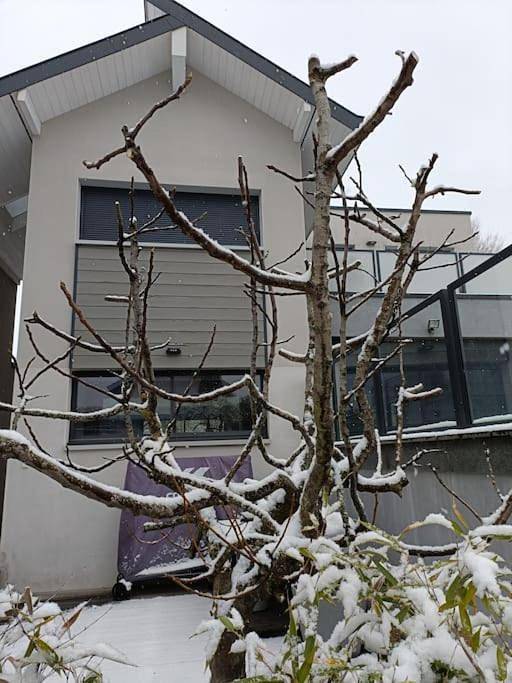 Gîte pour 5 personnes, avec jardin ainsi que vue et piscine à Pugny-Chatenod - 4