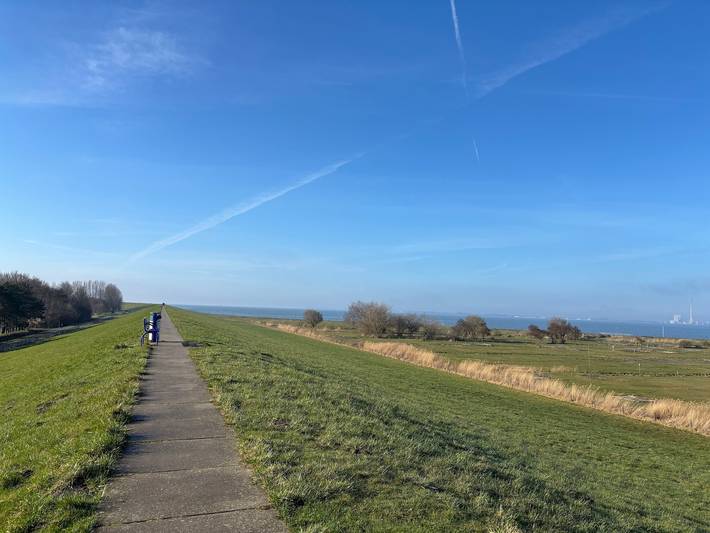 Ferienhaus für 4 Personen, mit Sauna und Kinderpool sowie Garten, mit Haustier am Jadebusen