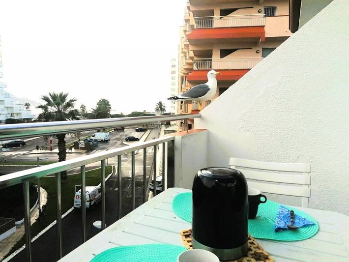 Ferienwohnung für 4 Personen, mit Terrasse - 1