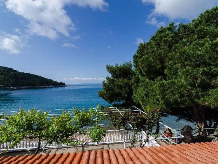 Ganze Wohnung, Apartments Franka Saplunara-Double Room with Terrace and Sea View in Velika Saplunara, Saplunara