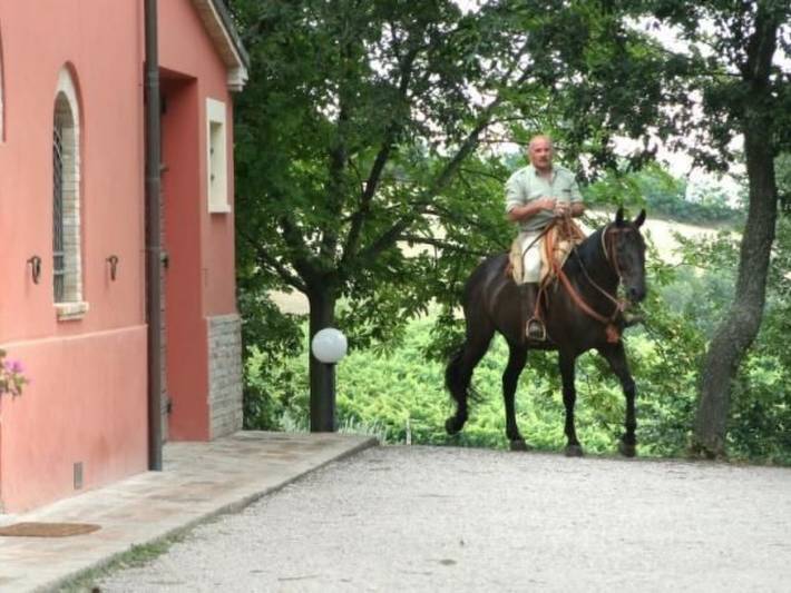 Location de vacances pour 6 personnes, avec jardin à Serrungarina - 3