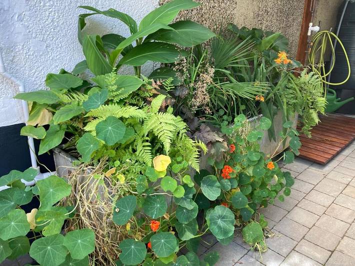 Location de vacances pour 3 personnes, avec jardin à Portsmouth - 4