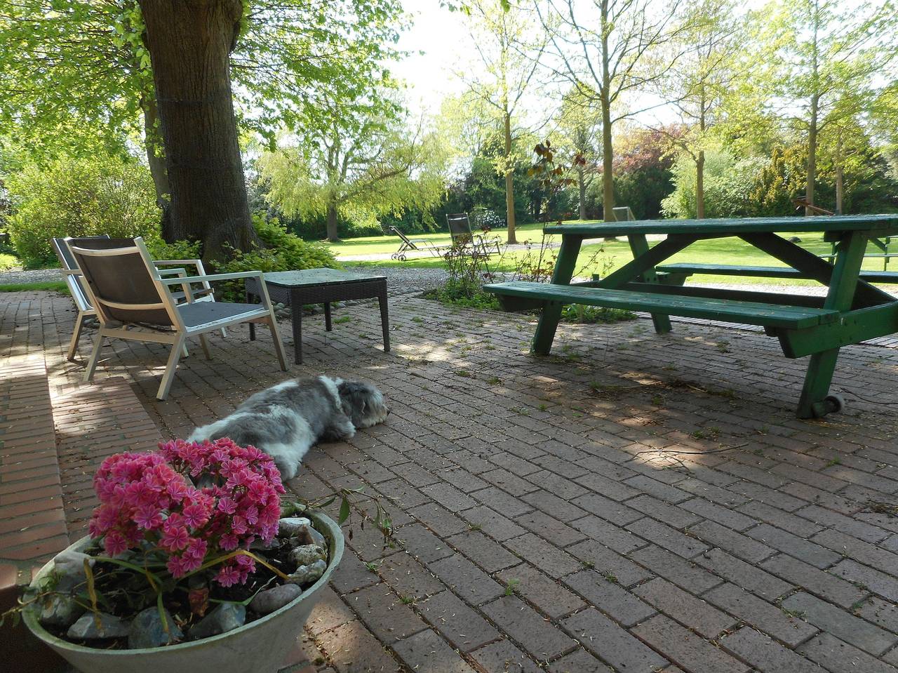 Ganze Ferienwohnung, Ferienhof Bisdorf "Bauernhaus" in Westfehmarn, Fehmarn