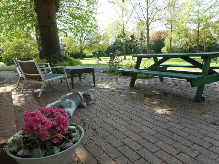 Ferienwohnung für 6 Personen, mit Terrasse und Garten in Bisdorf - 3