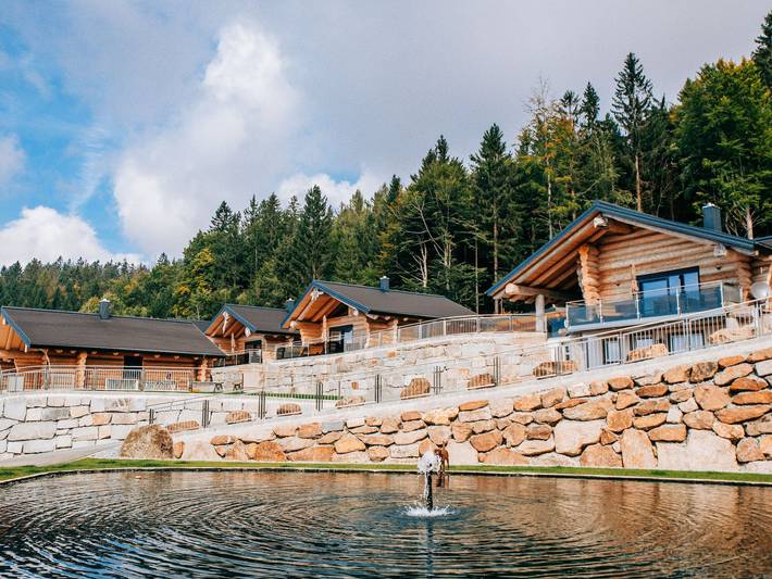 Hotel für 3 Personen, mit Balkon und Sauna sowie Garten und Ausblick in Mühlviertel