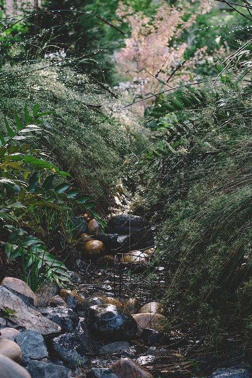 Vacation rental for 4 people, with terrace and yard, with pets in Sonoma County