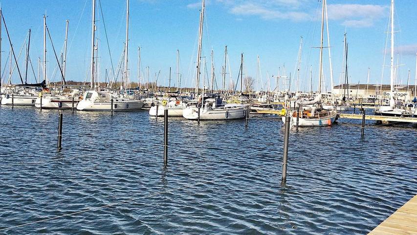 Ferienhaus für 7 Personen, mit Terrasse und Sauna, mit Haustier in Wendtorf - 4