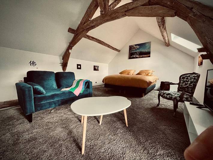 Chambre d’hôte pour 12 personnes, avec vue et jardin ainsi que piscine et sauna dans Seine-et-Marne - 2