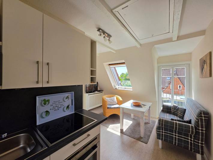 Ganze Ferienwohnung, Haus Inselbrise, Whg. 5 in Nordfriesische Inseln (Schleswig-Holstein) (Schleswig-Holstein), Wyk auf Föhr