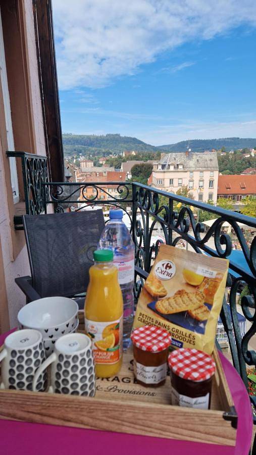 Gîte pour 2 personnes, avec vue et terrasse dans Office de Tourisme de Saverne - 3