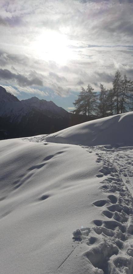 Chambre d’amis pour 4 personnes, avec sauna et jardin à Temù - 2