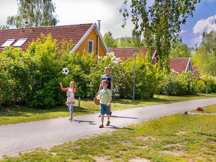 Ferienhaus für 4 Personen, mit Terrasse in Rechlin - 4