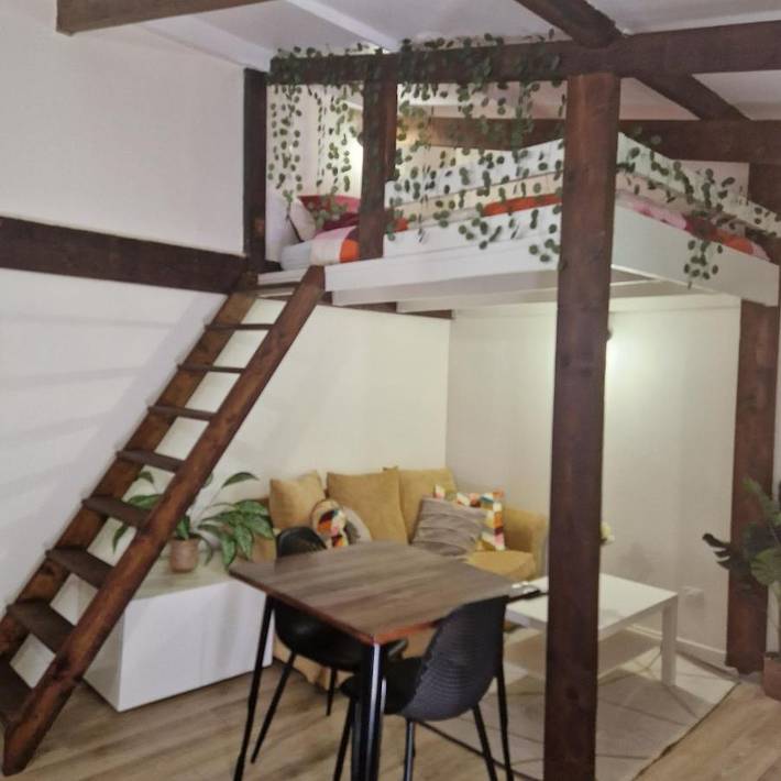 Apartamento de vacaciones para 4 personas, con vistas y jardín - 1