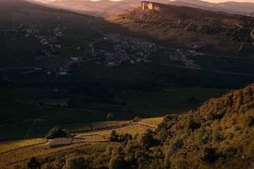 Location de vacances pour 12 personnes, avec jardin et piscine dans Davayé