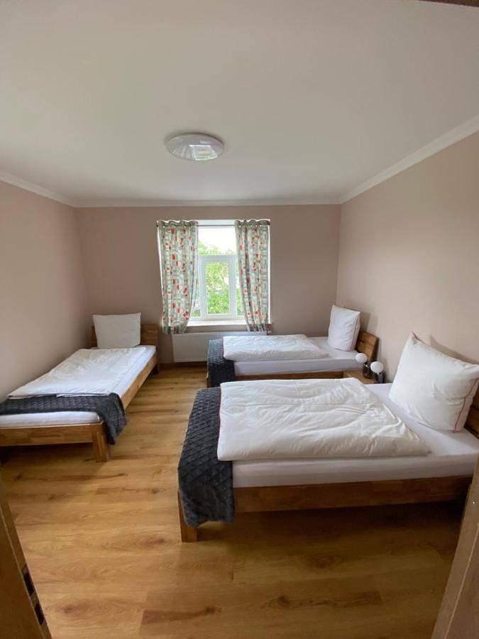 Ferienwohnung für 5 Personen, mit Terrasse und Garten in Borna - 4