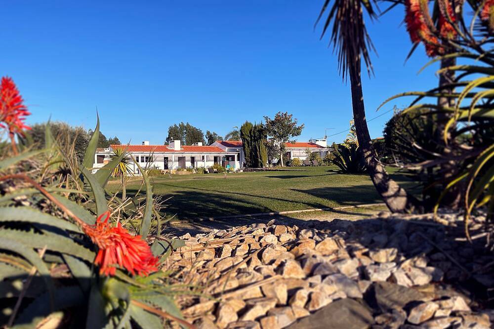 Large Spacious 2 Bedroom House 5 minutes from Zambujeira do Mar - House 4 in Zambujeira do Mar, Costa Alentejana