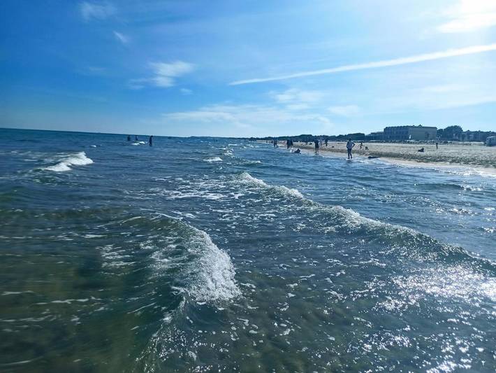 Gîte pour 5 personnes, avec vue et terrasse, animaux acceptés dans Plage d'Honneur - 2
