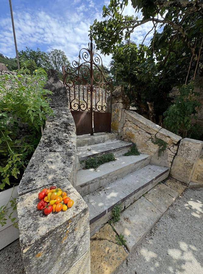 Location de vacances pour 4 personnes, avec jardin et vue à Bézenac - 4