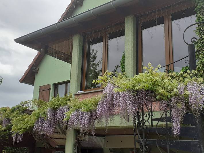 Gîte pour 8 personnes, avec balcon et jardin dans le Haut-Rhin - 2