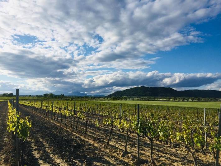Casa rural para 2 personas, con terraza y vistas en Somontano de Barbastro - 2