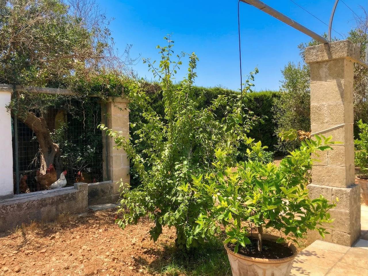 Casale Levante - Cerfignano in Santa Cesarea Terme, Province de Lecce