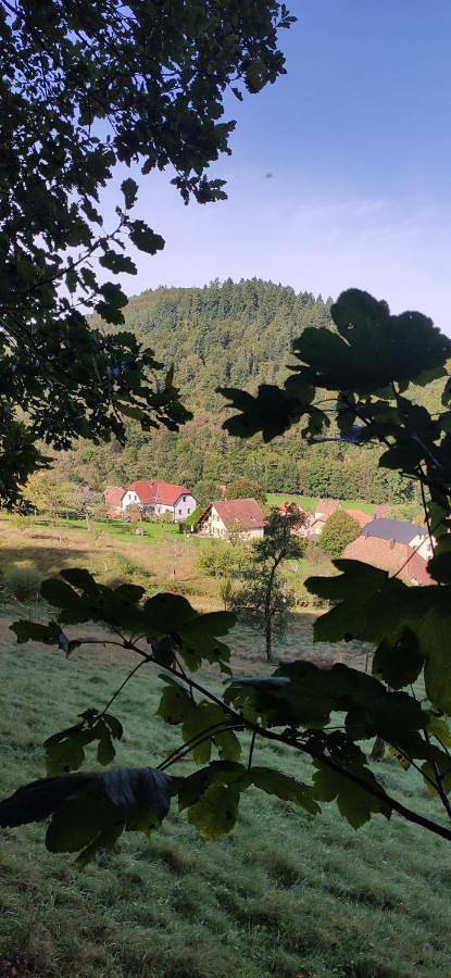 Gîte pour 4 personnes, avec balcon et vue, animaux acceptés à Fouchy