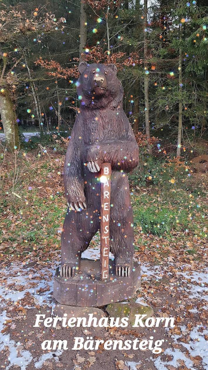 Ferienhaus für 6 Personen, mit Garten im Dahner Felsenland - 3