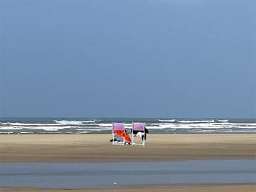 Location de vacances pour 2 personnes, avec vue et terrasse, animaux acceptés dans Petite Plage Saint Trojan Les Bains