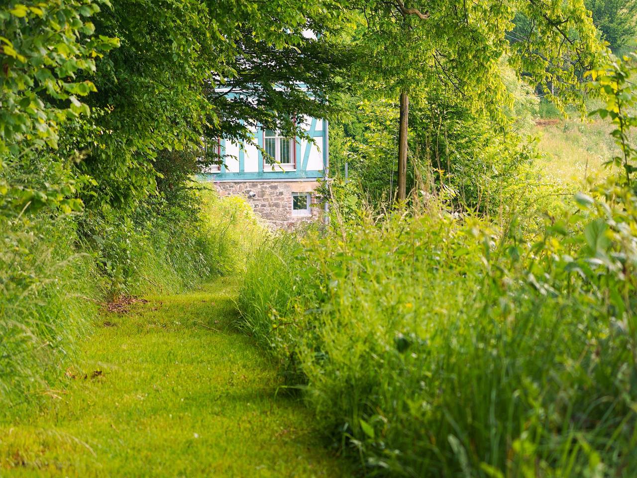 Ferienhaus Naturreich - Ferienhaus in Bad Berleburg, Kreis Siegen-Wittgenstein
