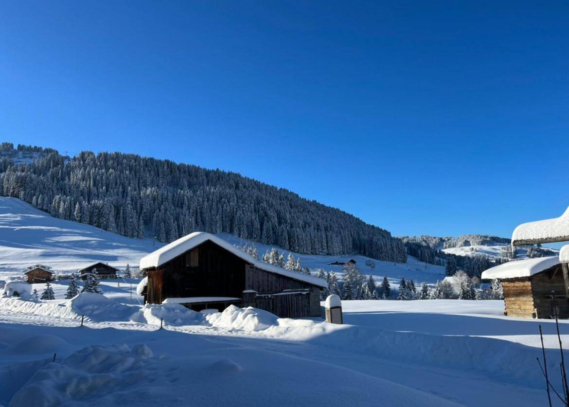 Le Chalet du Crêt - 8 pers, tout confort avec Jacuzzi in Notre-Dame-de-Bellecombe, Région d'Albertville
