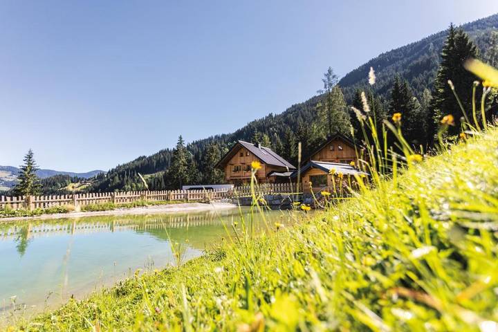 Chalet voor 10 personen, with Terras and Tuin as well as Sauna and Uitzicht in Wagrain