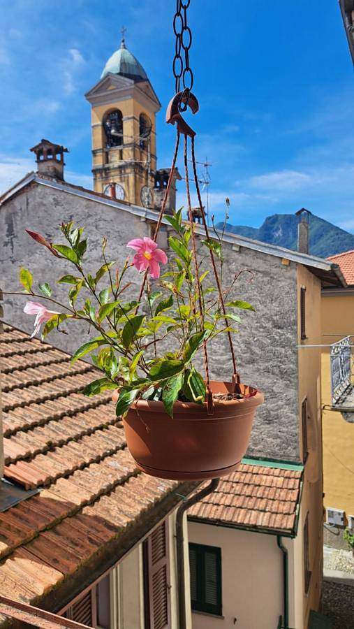 Ferienhaus für 4 Personen, mit Balkon und Ausblick, mit Haustier