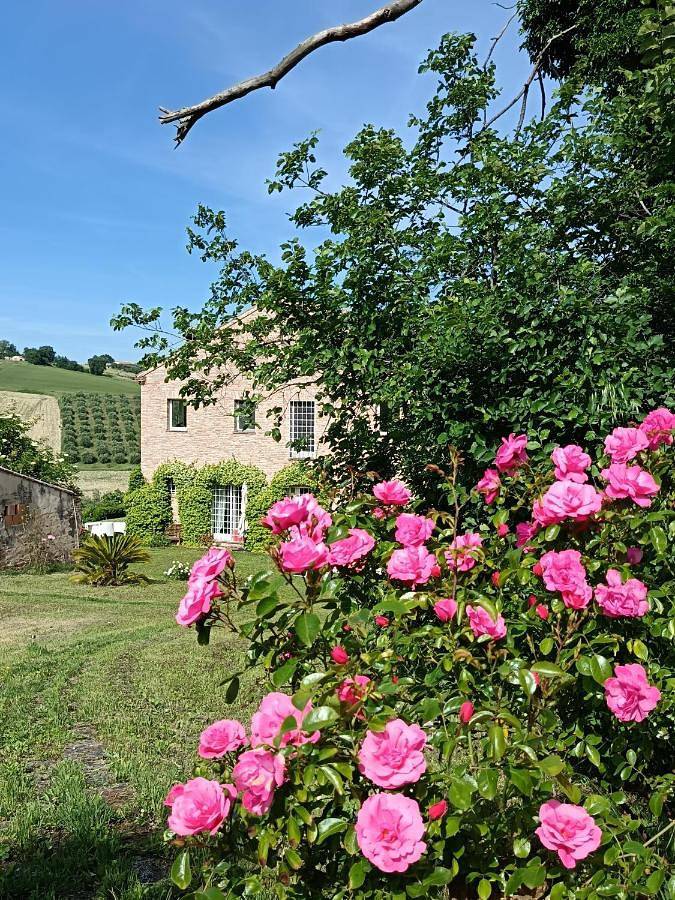 Ganze Wohnung, Il Giardino nella Valle in Belvedere Ostrense, Ancona Provinz