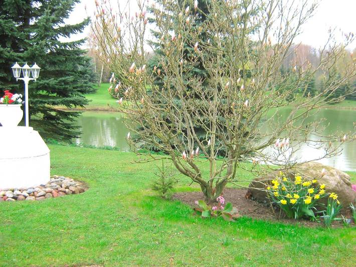 Ferienwohnung für 2 Personen, mit Garten in Grömitz - 3