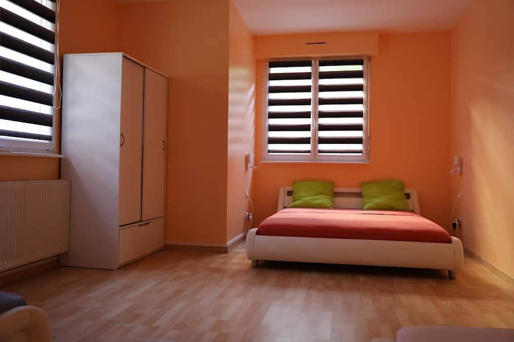 Entire apartment, Apartment near Basel / Mulhouse Airport in Saint-Louis, Mulhouse region