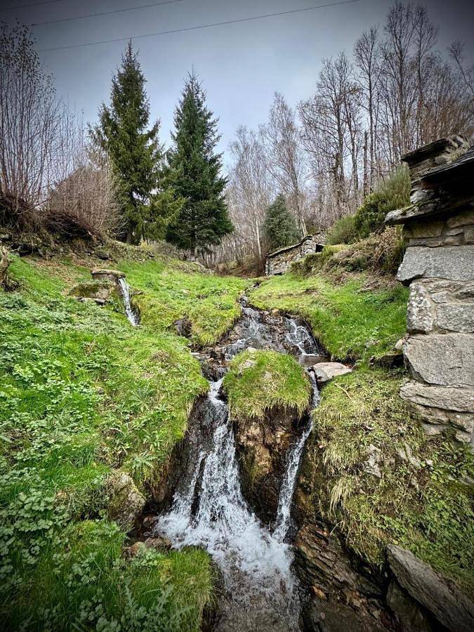 Casa rural para 8 personas, con vistas y terraza, Se admiten mascotas en Sanabria (Zamora) - 4