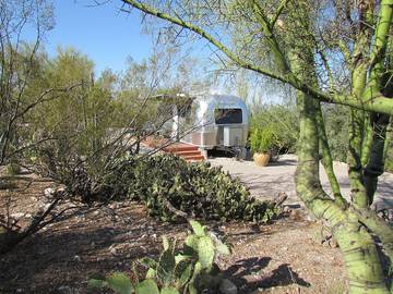 Camping für 3 Personen in Catalina Foothills, Arizona, Bild 2