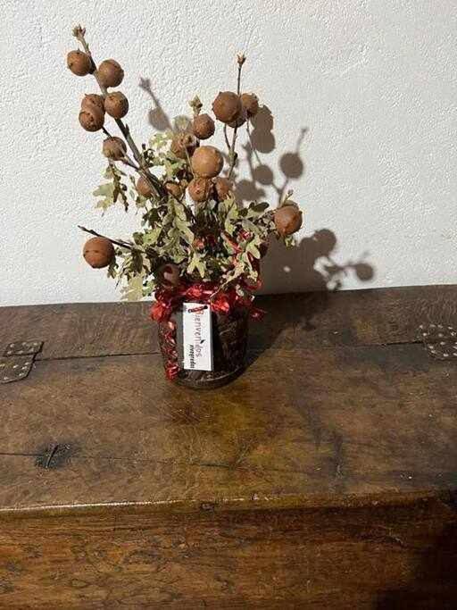 Casa rural para 6 personas, Se admiten mascotas en Navatejares - 2