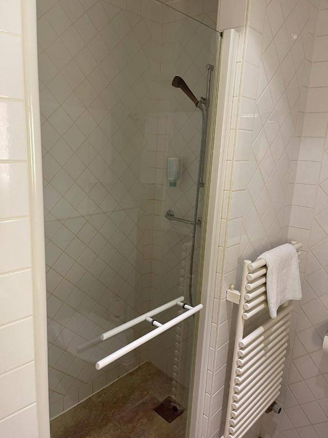 Hôtel pour 4 personnes, animaux acceptés à Nyon - 2