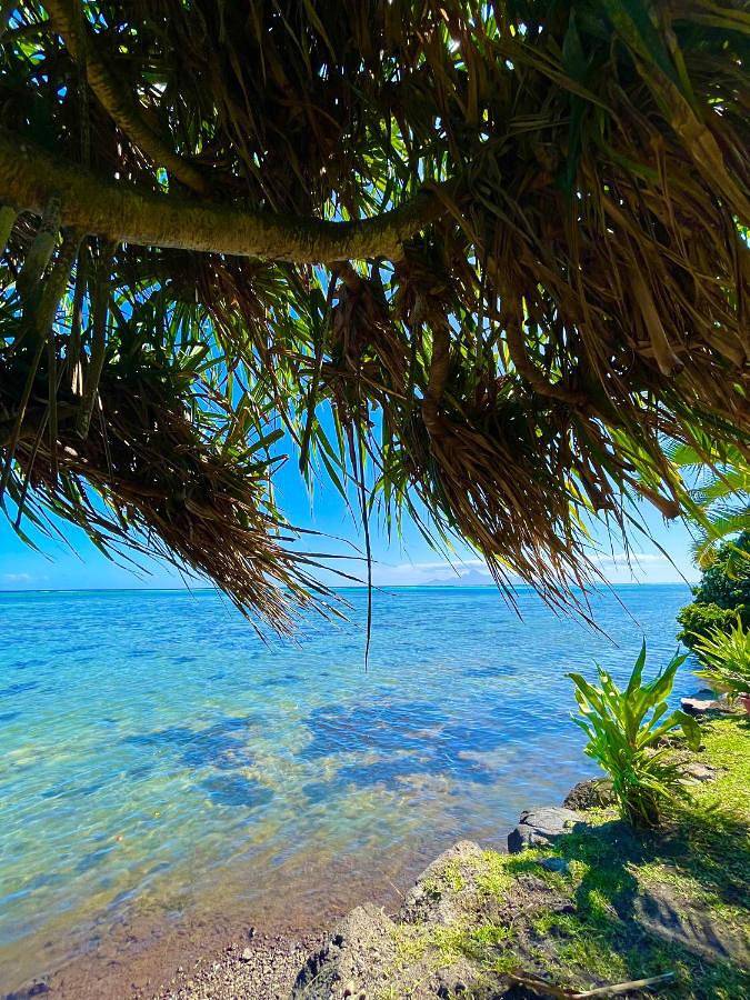 Location de vacances pour 2 personnes, avec jardin ainsi que vue et balcon dans Paea - 2
