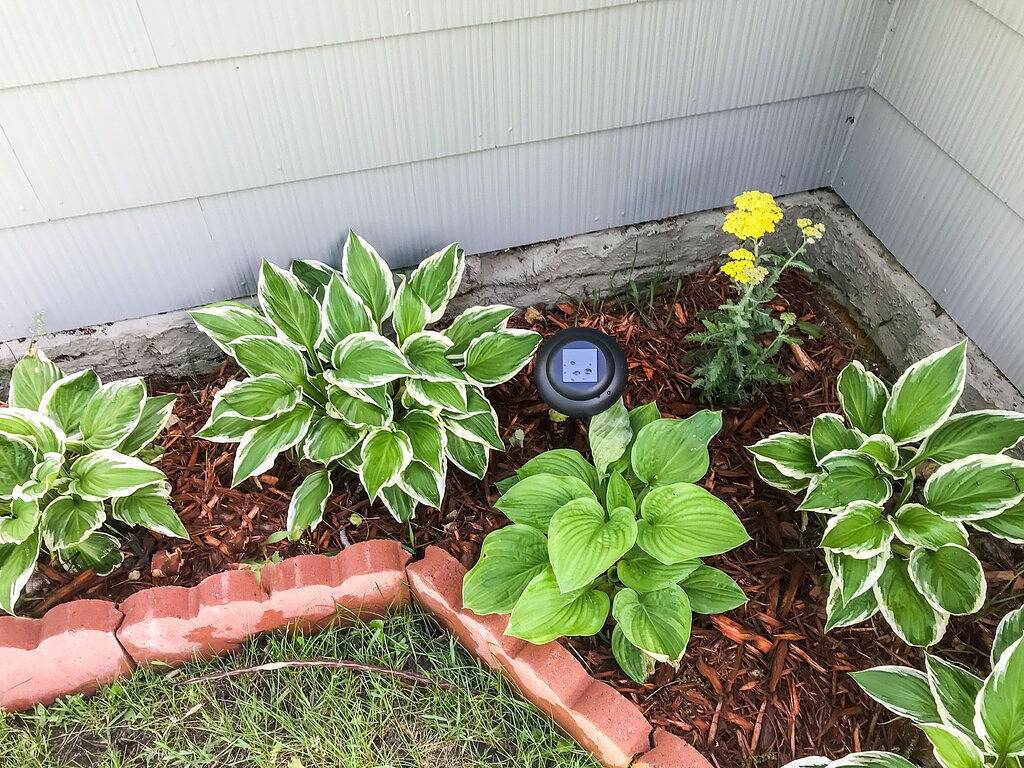 Cozy Cottage - Breakfast (continental) Kayaks, Bikes Complimentary in Pierce County (WI)