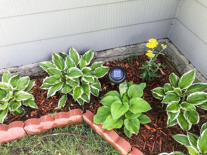 Cottage für 4 Personen, mit Garten und Terrasse - 1