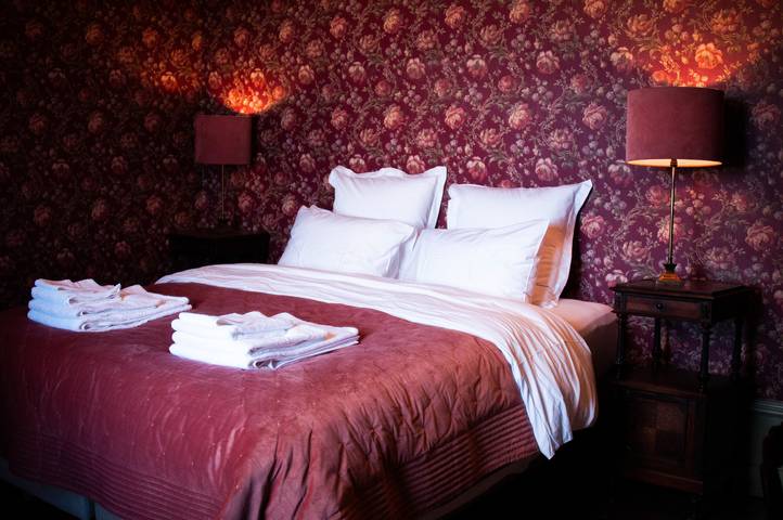 Chambre d’hôte pour 4 personnes, avec jardin, animaux acceptés à Vienne (France)