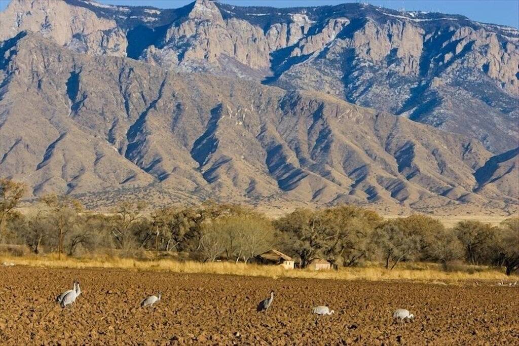 Charmante Corrales Casita in Corrales, Sandoval County